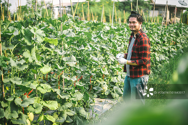 亚洲农民在有机农场从事可持续农业图片素材