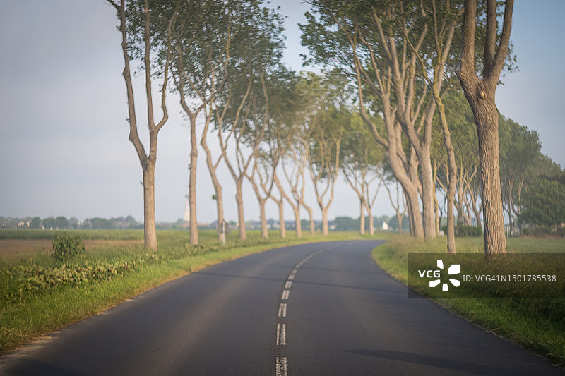 法国绿树成荫的道路图片素材