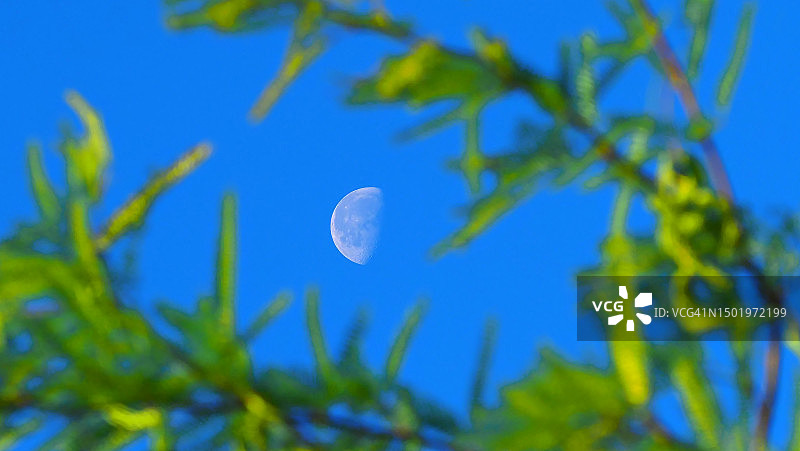 捕捉月亮图片素材