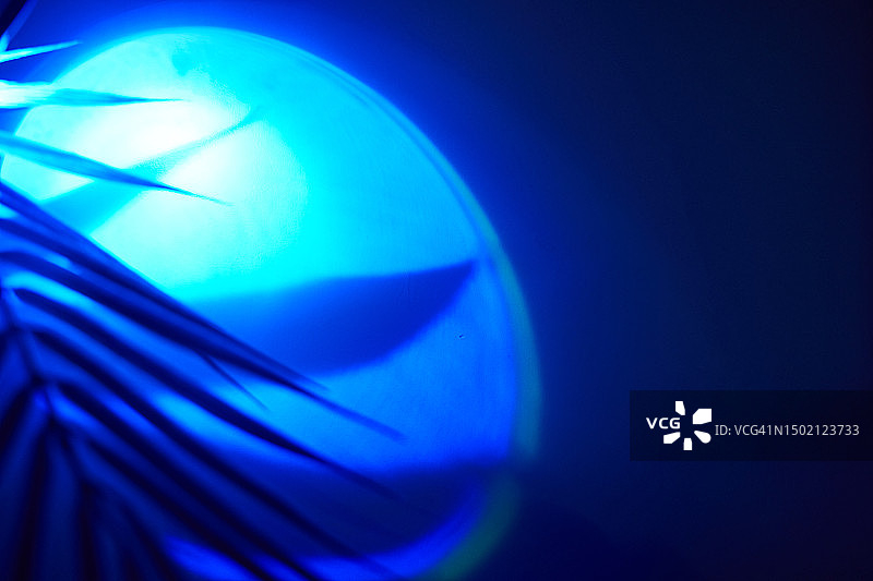 热带植物的叶子，具有不寻常蓝光的棕榈叶阴影，南方夜间迪斯科概念图片素材