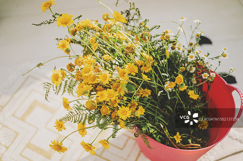 野花花束图片素材