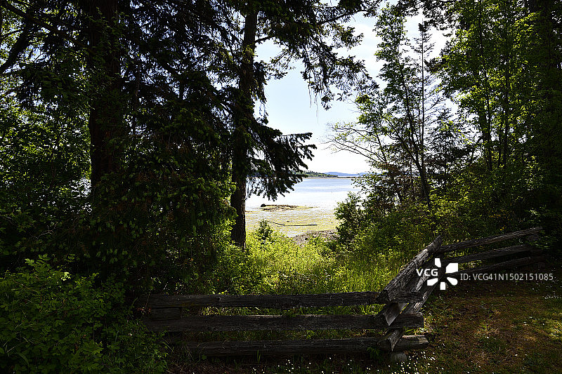 眺望萨尼奇顿湾公园海滩图片素材