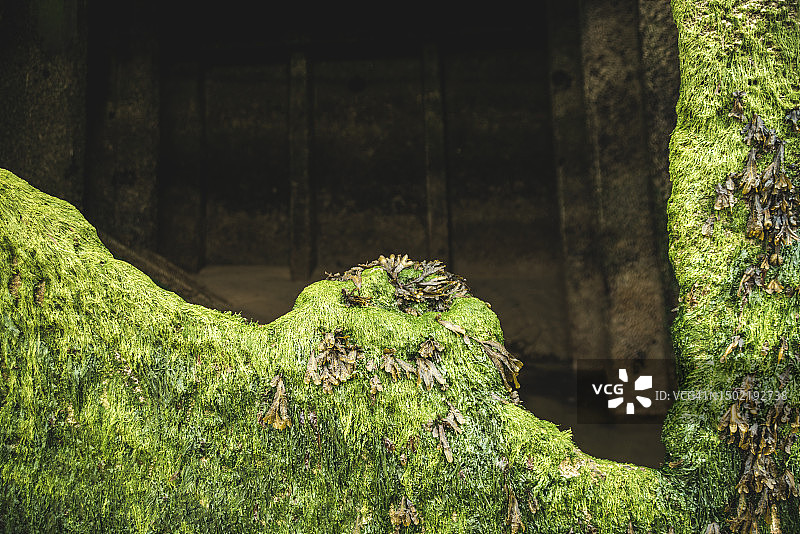 阿罗芒什的马尔伯里港图片素材