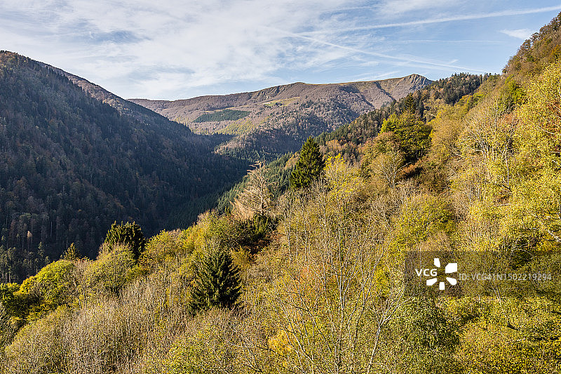 秋季混合林鸟瞰图片素材