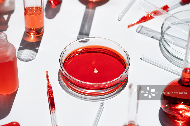 白色背景下培养皿和烧瓶中的红色液体化妆品和医药概念图片素材