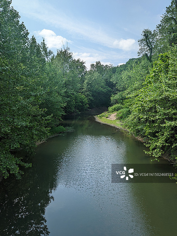 美国密苏里州哥伦比亚市森林中的树木与河流风光图片素材