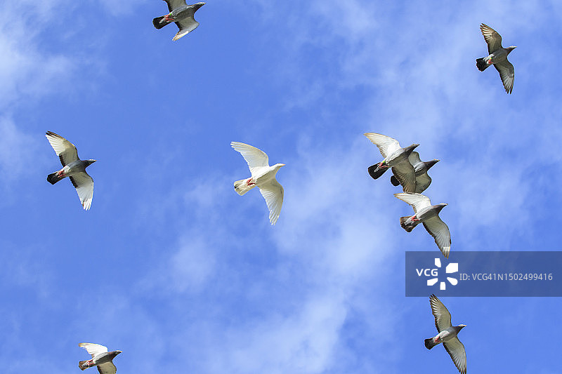 低角度鸟瞰图图片素材