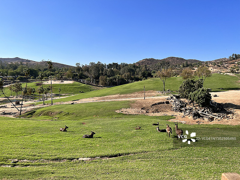 美国加利福尼亚州圣地亚哥晴空下的田野风光图片素材