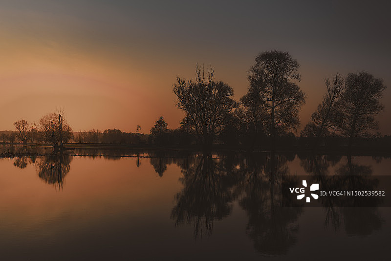 日落时波兰湖边树木剪影图片素材