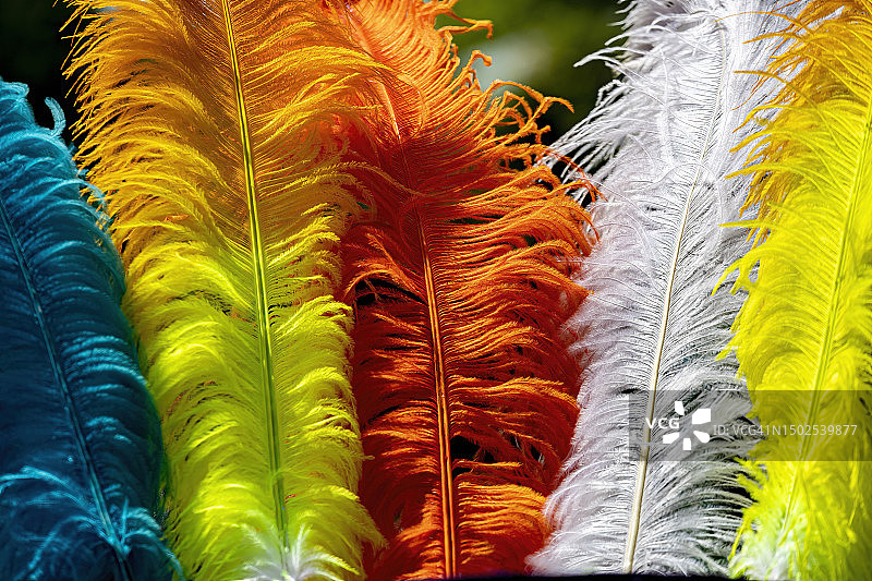 美国纽约市场出售的彩色羽毛特写图片素材