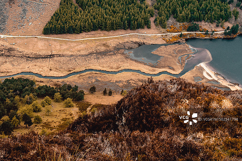 爱尔兰格伦达洛的树木景观高角度视图图片素材