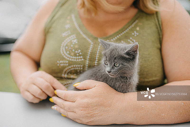 手抱灰色小猫的女人图片素材