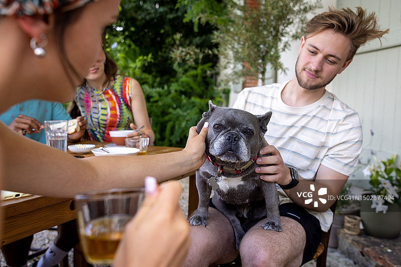 爱抚小狗图片素材