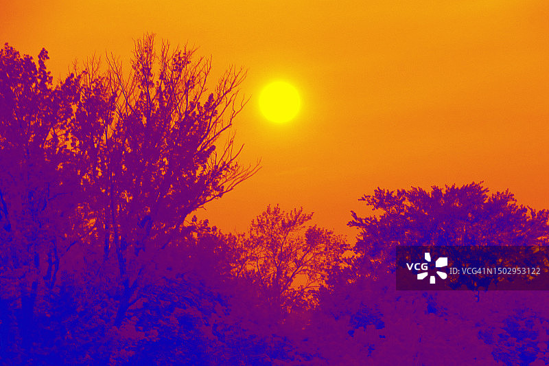 明亮的午后阳光和树木轮廓的彩色转换图像图片素材