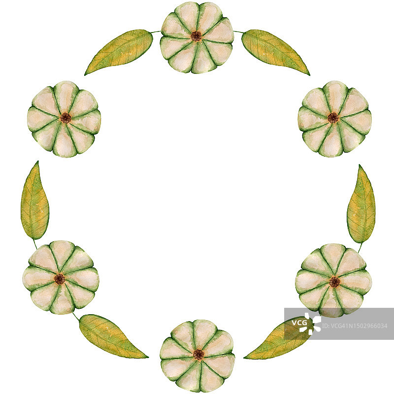 水彩插画：白色背景上的绿叶和南瓜花环图片素材