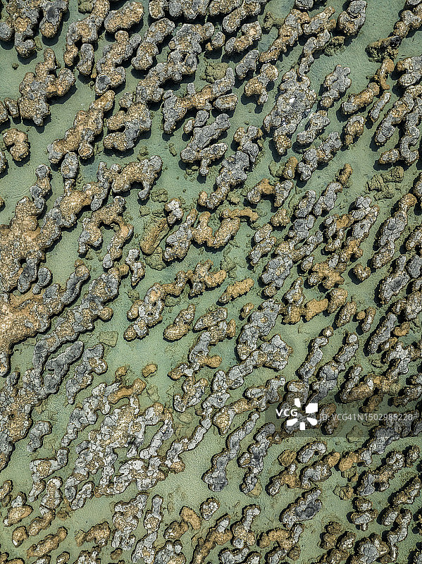 澳大利亚西澳大利亚哈梅林池的叠层石（无人机视角）图片素材