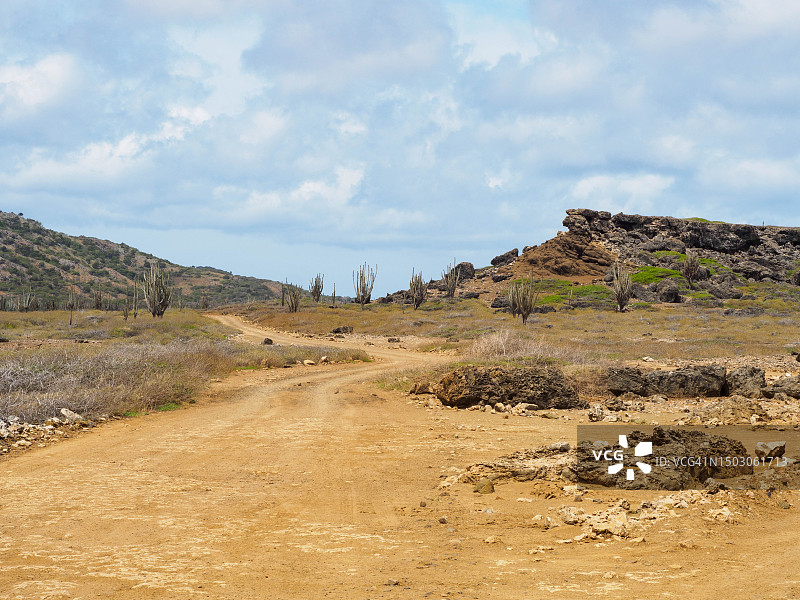 博内尔岛华盛顿斯拉赫拜国家公园（加勒比海南部）图片素材