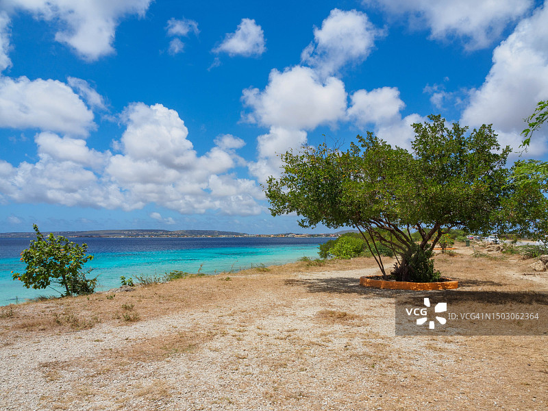 加勒比海南部博内尔岛图片素材