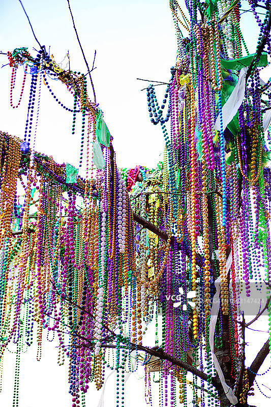 路易斯安那州新奥尔良：树木上装饰着狂欢节彩色珠子图片素材