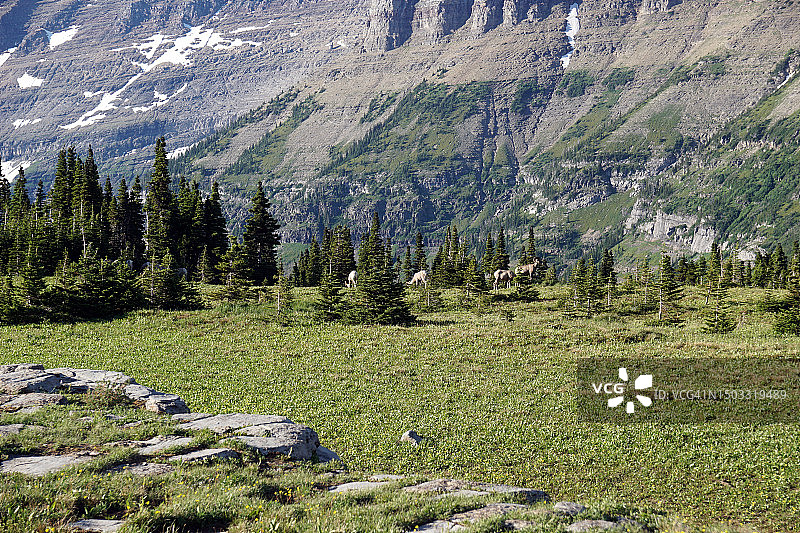 冰川国家公园图片素材