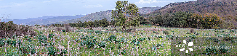 阿尔及利亚苏克阿赫拉斯的壮丽全景图片素材