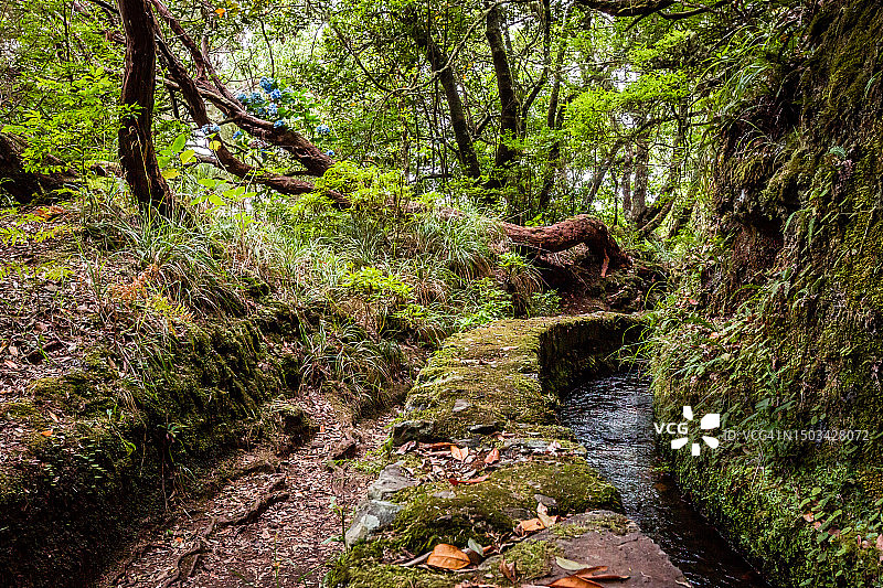 马德拉桑塔纳绿野大锅徒步图片素材