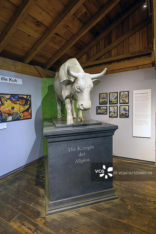 阿尔高山牛的静物照，阿尔高山农场博物馆，德国巴伐利亚阿尔高图片素材