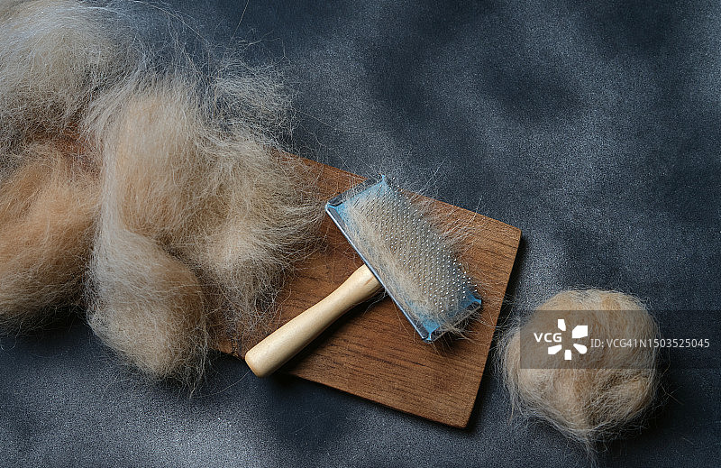 地板上的发刷和狗毛图片素材