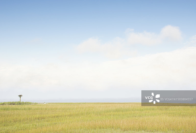 海滩附近草地之上的天空图片素材
