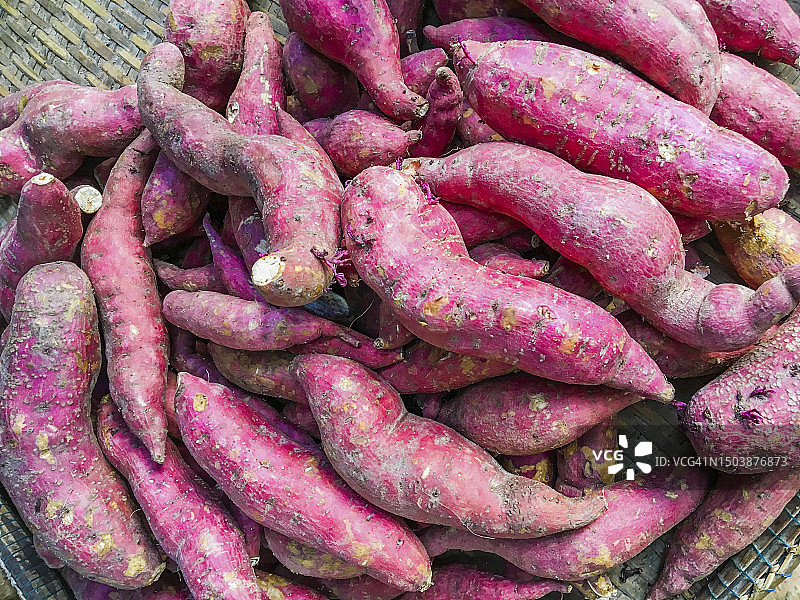 红色甘薯特写图片素材