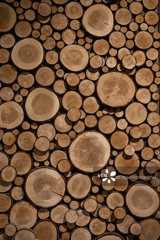 墙壁装饰木材横截面图片素材