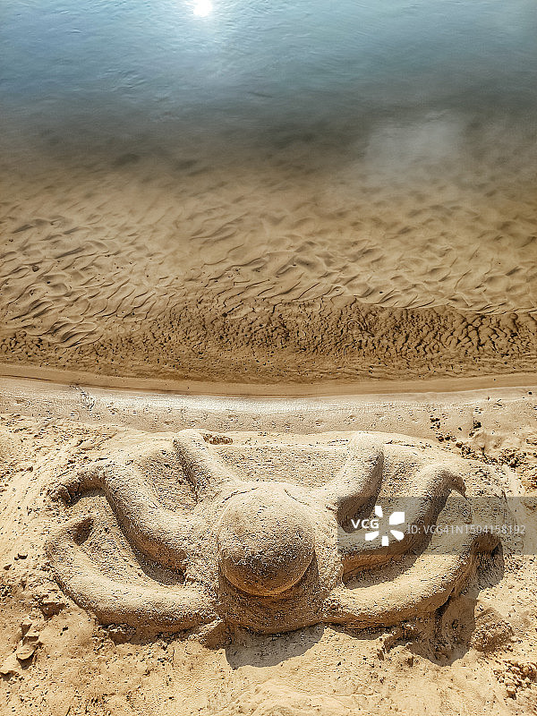 沙滩上的沙子章鱼图片素材