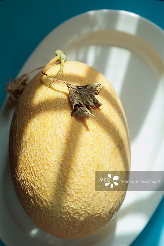 完整的黄色成熟甜瓜，在白色盘子上，绿色桌布有阴影图片素材