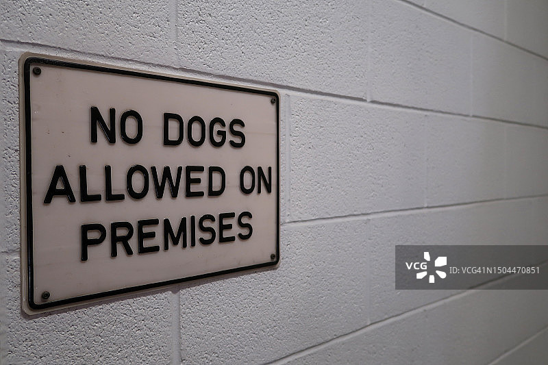 白砖墙上的标志：禁止携犬入内图片素材