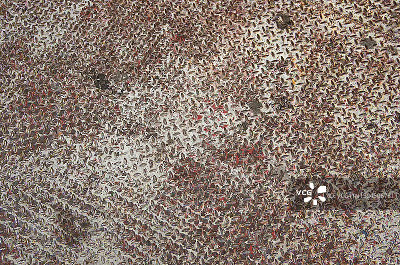 带有交叉阴影防滑纹理图案及褪色红色油漆的生锈钢板图片素材