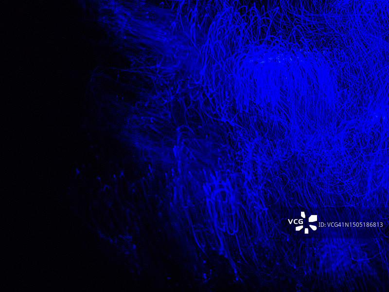 人工智能（AI）的未来感抽象概念图片素材