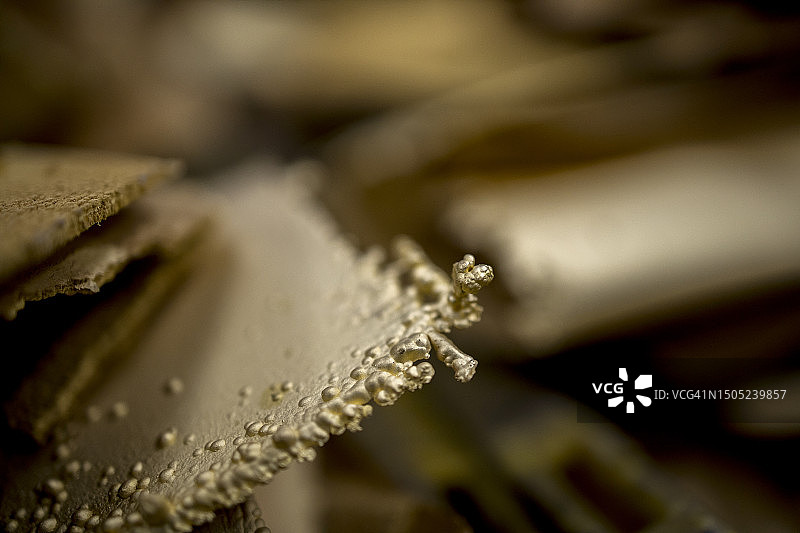 金色海绵特写图片素材