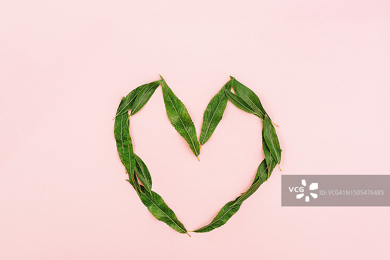 粉色背景上的绿叶心形模型图片素材