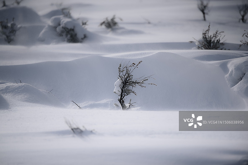 美国犹他州帕克城雪景风光图片素材