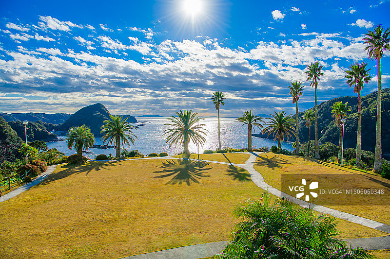 日本五城目棕榈树与天空美景图片素材