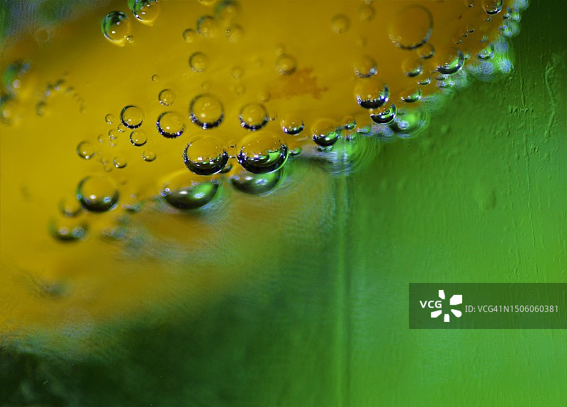 水中气泡特写，格罗宁根，荷兰图片素材