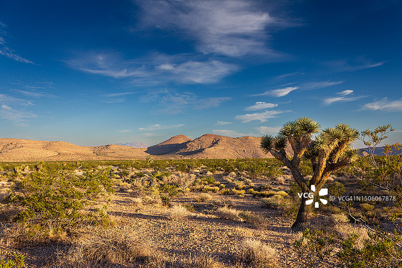 美国内华达州沙漠风光图片素材