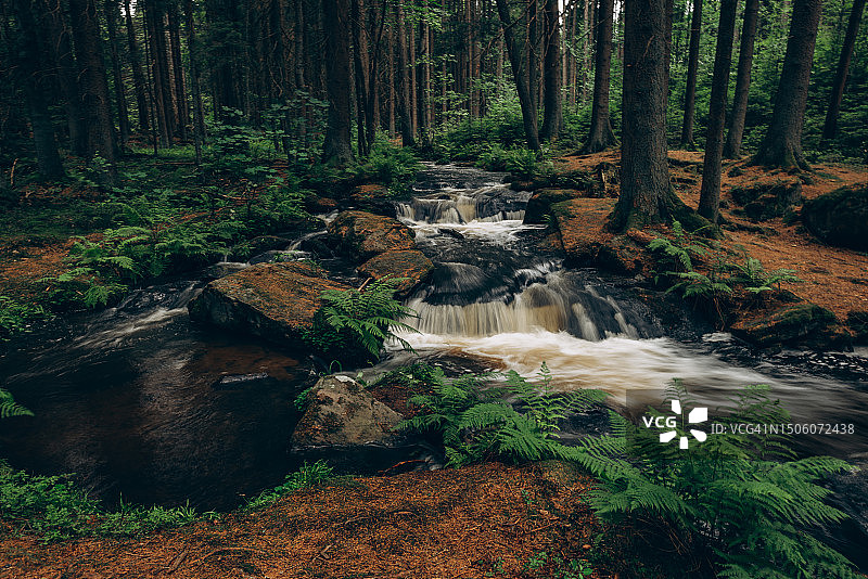 森林中瀑布的美景图片素材
