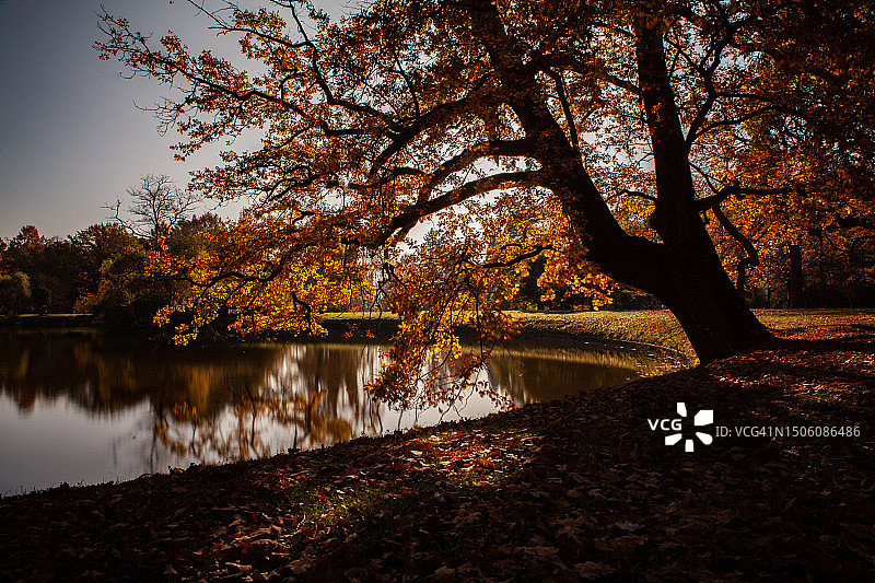 德国卡尔斯奥厄秋季湖畔树木景观图片素材