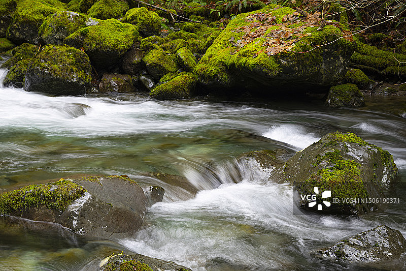 美国华盛顿州布林农森林中流经岩石的河流风光图片素材