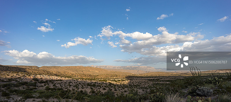 美国德克萨斯州大弯国家公园田野风光图片素材