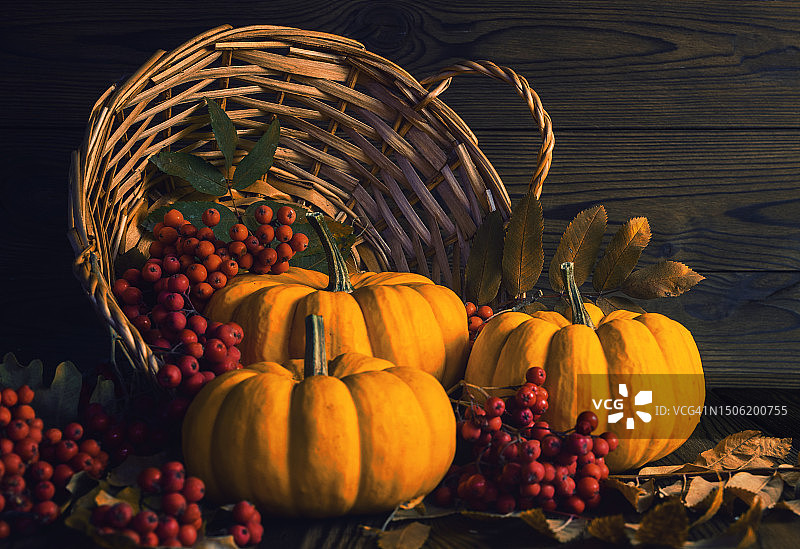 桌子上南瓜的特写图片素材