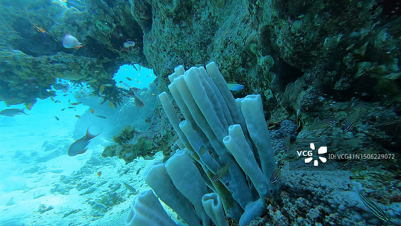 在海中浮潜图片素材