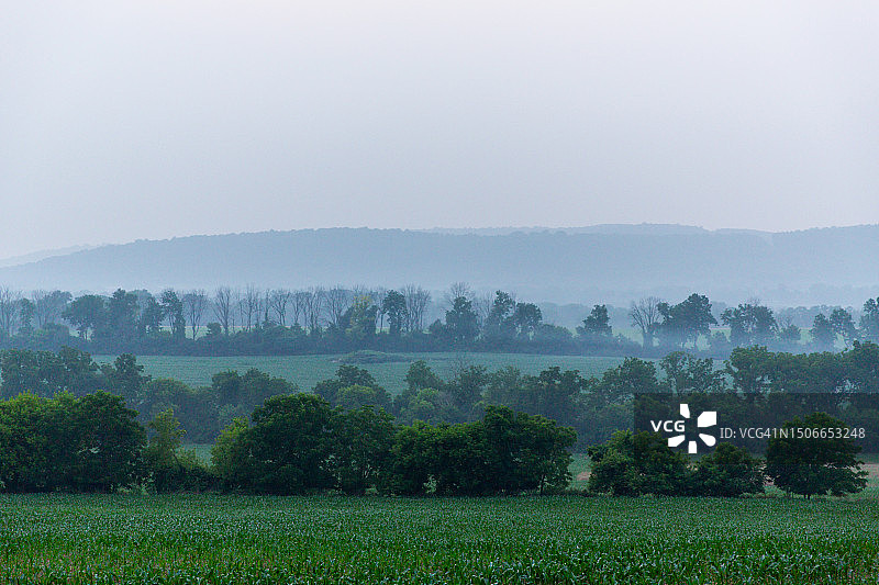 野火烟雾笼罩天空，加拿大野火产生的烟雾污染农作物和食物图片素材