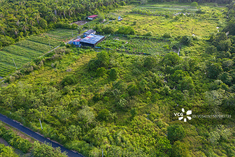 农田的无人机视角图片素材